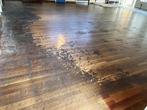 Wood floor restoration Yorkshire